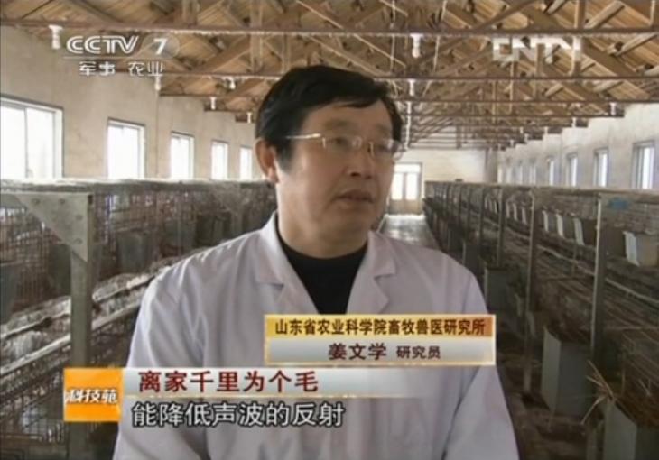 國家現代農業兔產業技術體系崗位科學家        姜文學 研究